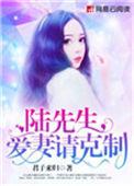 陆先生