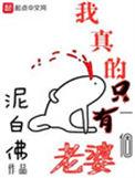 我真的只有一个老婆差不多的