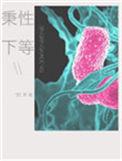 秉性下等TXT百度