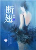 断翅2加代