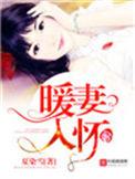 暖妻甜入骨免费阅读
