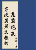 穿进男频搞建基建txt