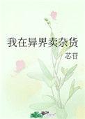 我在异界卖杂货番外