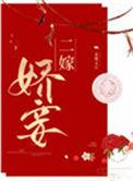 二嫁小妾
