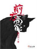 前方高能是什么意思