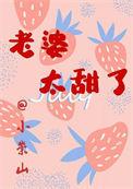 老婆太甜了by