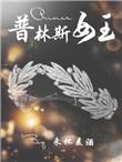 hp普林斯的
