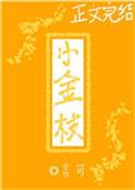 小金枝豫剧团团长简历