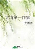 大清第一作家28