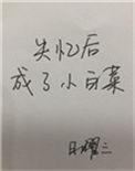 失忆后他成了白月光短剧完整版