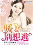 总裁宠妻成瘾