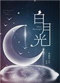白月光穿书十一年后