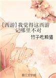 西游记怎么样