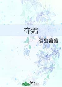 夺霜的大结局
