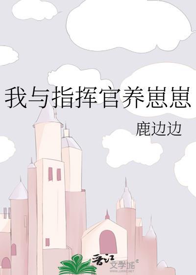 指挥官txt