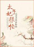 太子妃很忙(清穿) 元月月半