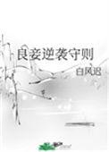 良妾逆袭手册