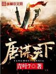唐谋天下简介