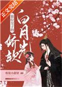 篡位将军的白月光免费阅读讲的什么