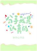 分手也是认真的