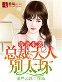 娇妻入怀总裁大人