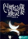 闪婚总裁宠妻成瘾免费阅读