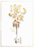 氪金改命txt