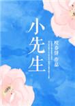 小先生是什么称呼