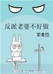 反派老婆不好做完整版