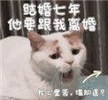 结婚七年他要跟我离婚百度