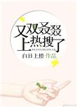 又上热搜了全文阅读