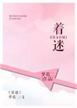 着迷章节列表
