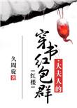 红楼大夫人的穿书红包群格格党