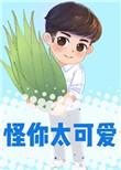 怪你太可爱晋江