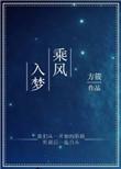 乘风入梦在线阅读
