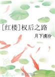 红楼权臣之妻晋江