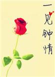 一见钟情1V1免费阅读