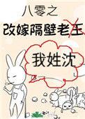 八零之改嫁隔壁老王173
