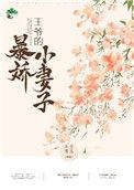 王爷的暴躁小妻子txt
