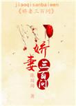 娇妻3h