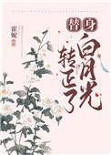 替身白月光txt