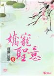 娇宠圣意免费阅读