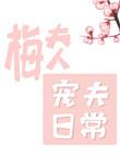 梅夫人宠夫日常在哪里看