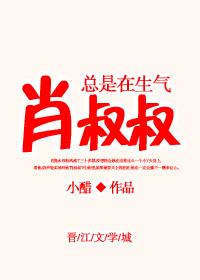 肖叔叔总是在生无防盗