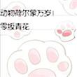 什么是荷尔蒙心动