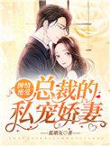 总裁私宠小娇妻3