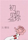 初初见你张信哲