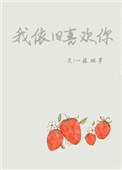 我依旧喜欢你翻译