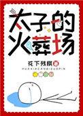太子火葬场纪事晋江