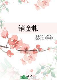 销金帐免费阅读无弹窗